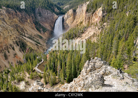 Lower Falls avec le sentier Red Rock, Grand Canyon de la Yellowstone River, vue à partir de la rive nord, le Parc National de Yellowstone Banque D'Images