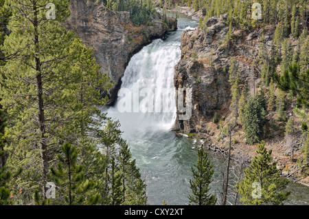 Upper Falls, Grand Canyon de la Yellowstone River, vue à partir de la rive sud, le Parc National de Yellowstone, Wyoming, USA Banque D'Images