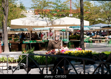 Des fleurs au marché le Vodnik Square, Vodnikov trg, vieille ville, Ljubljana, Slovénie Banque D'Images