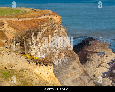 Falaises de la côte entre Robin Hood's Bay et de Whitby, dans le Yorkshire du Nord en Angleterre Royaume-uni le Cleveland Way sentier du Littoral Banque D'Images