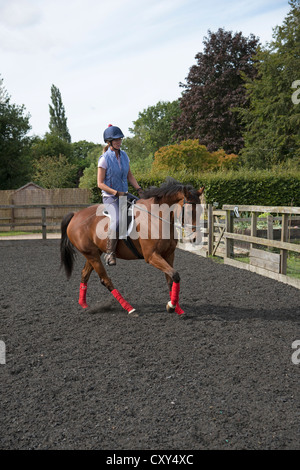 Rider femme exerçant un cheval dans un enclos Banque D'Images