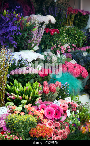 Stand de fleurs à l'extérieur de Clapham Junction - London UK Banque D'Images