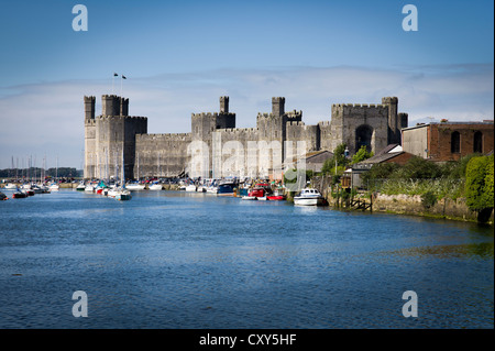 Château de Caernarfon Gwynedd North Wales UK Banque D'Images