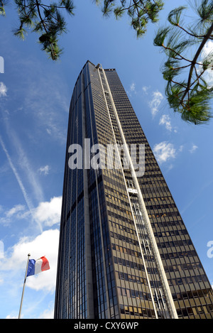 Drapeau français et de la Tour Montparnasse, Paris, France Banque D'Images