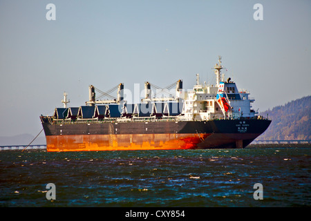 Triomphe asiatique vraquier construit 2012 Singapour enregistré ancré au port Astoria sur la rivière Columbia, New York USA Banque D'Images