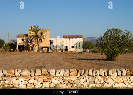 Ancienne maison typique de Majorque campagne Mallorca Majorque Îles Baléares Espagne Banque D'Images