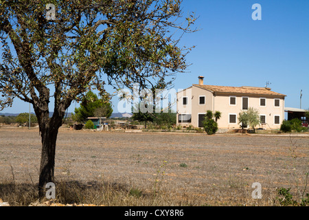 Ancienne maison typique de Majorque campagne Mallorca Majorque Îles Baléares Espagne Banque D'Images