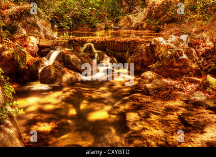 Belle cascade en forêt, vue magnifique sur la rivière Cascade, jungle pacifique, montagnes paysage nature sauvage Banque D'Images