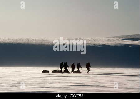 Les skieurs de fond avec pulkas sur un glacier, rétroéclairé, Spitsbergen, Svalbard, Norvège, Europe Banque D'Images