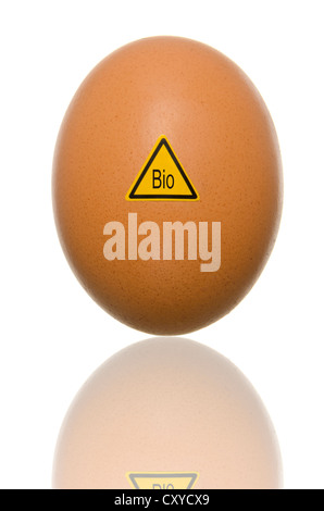 Seul oeuf avec panneau d'avertissement 'Bio', image symbolique, attention : les œufs biologiques Banque D'Images