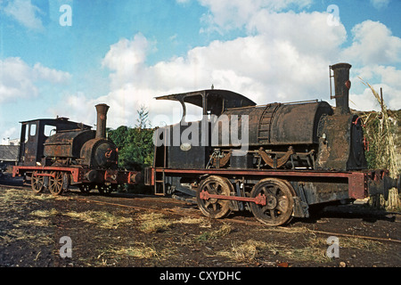 Les deux locomotives à voie large Falcon et l'aubépine. Novembre 1981. Banque D'Images