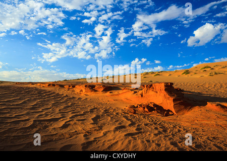 Dunes pétrifiées, Désert du Namib, le Namib Naukluft Park, Namibie, Afrique Banque D'Images