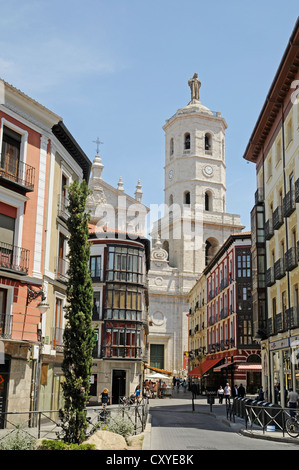 Bâtiments historiques, la cathédrale, Canovas del Castillo, rue, vieille ville, Valladolid, Castille et León, Espagne, Europe Banque D'Images