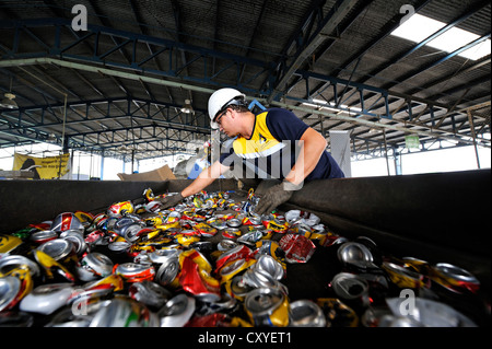 Le tri pour les boîtes faites de fer blanc, aluminium, sur une courroie de convoyeur dans une usine de recyclage, San José, Costa Rica, Amérique Latine Banque D'Images