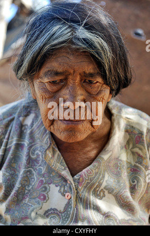 Vieille Femme, portrait, village du peuple wichi indigènes, Comunidad Tres Pocos, province de Formosa, en Argentine, en Amérique du Sud Banque D'Images