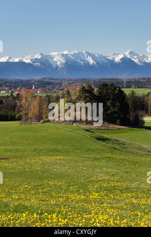 Préalpes avec Diemendorf Tutzing, municipalité, Fuenfseenland, cinq lacs, district de Haute-bavière, Bavière Banque D'Images