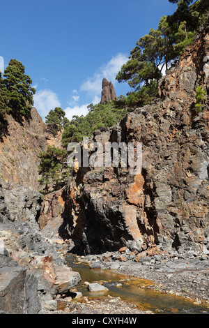 La rivière Rio Almendro Amargo et Roque de Idafe, Caldera de Taburiente National Park, La Palma, Canary Islands, Spain, Europe Banque D'Images