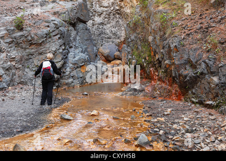 Barranco del Limonero canyon, Caldera de Taburiente National Park, La Palma, Canary Islands, Spain, Europe Banque D'Images