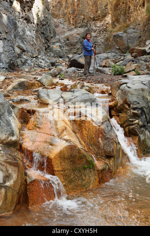 Barranco del Limonero canyon, Caldera de Taburiente National Park, La Palma, Canary Islands, Spain, Europe Banque D'Images