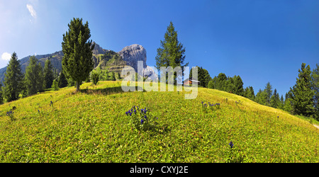 Mt Peitlerkofel, Sasso delle Putia, vue panoramique à Wuerzjoch, Passo delle Erbe, Villnoess, Funes, Dolomites, le Tyrol du Sud Banque D'Images