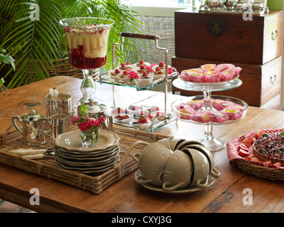 La décoration élégante table basse dans un cadre romantique avec des fruits pudding, bagatelle, et petit fours Banque D'Images