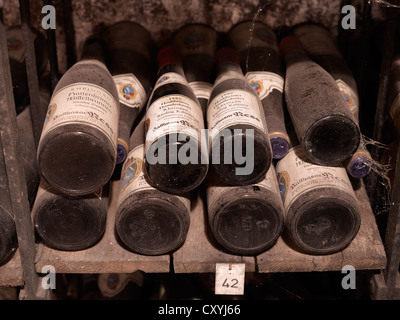 Dusty vintage les bouteilles de vin sont stockés dans une cave à vin, Hattenheim, région du Rheingau, Hesse Banque D'Images