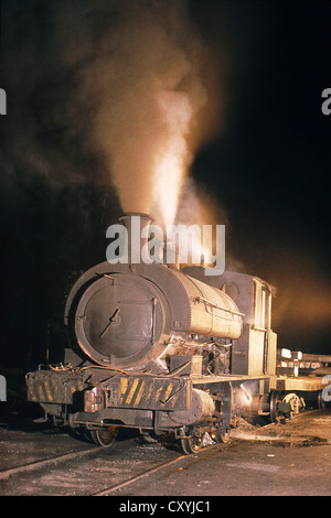 Un Écossais Stewart construit 5'3'' 0-4-0 ST 1903 jauge pendant sa journée de corvées à sa charpente métallique à Mogi Das Cruzes. Banque D'Images