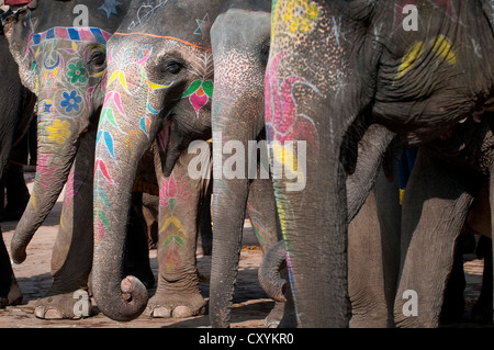 Les éléphants peints, Fort Amer, Fort Amber ou Amber Palace, Jaipur, Rajasthan, Inde, Asie Banque D'Images