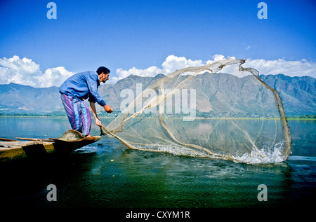 La pêche traditionnelle sur le lac Dal, Srinagar, Jammu-et-Cachemire, l'Inde, l'Asie Banque D'Images