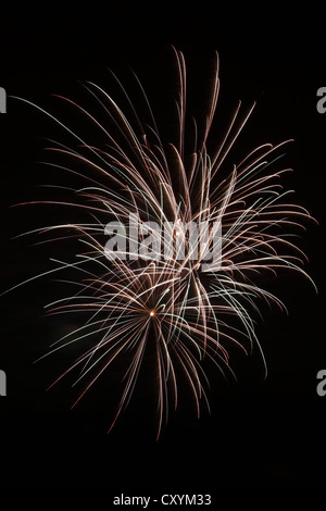 D'artifice dans le ciel de nuit, Québec, Canada Banque D'Images