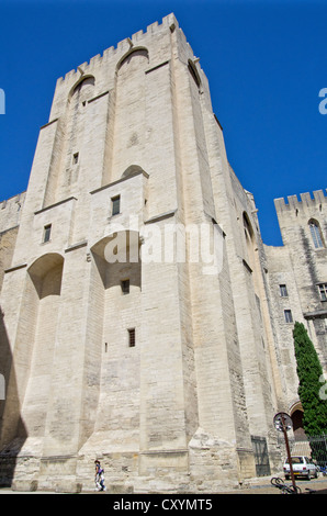 Avignon Palais des Papes le palais des Papes Banque D'Images