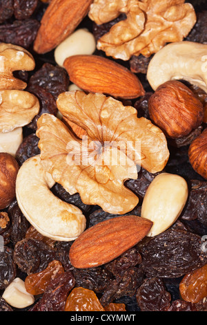 Mélange montagnard aux noix, amandes, noisettes, noix de cajou et raisins secs Banque D'Images