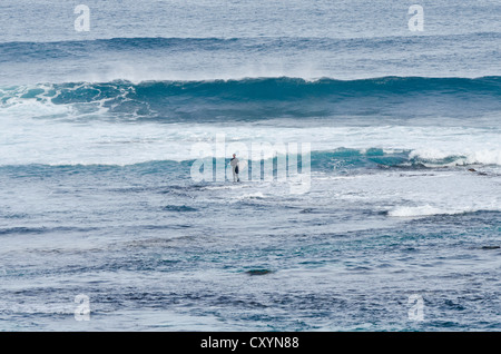 Un surfeur solitaire quitte le long du récif en attente d'une rupture dans le surf à Surfers Prevelly, Point, Margaret River, Australie Banque D'Images