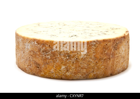 Stilton cheese isolated on a white background studio. Banque D'Images