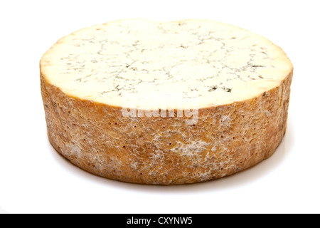 Stilton cheese isolated on a white background studio. Banque D'Images