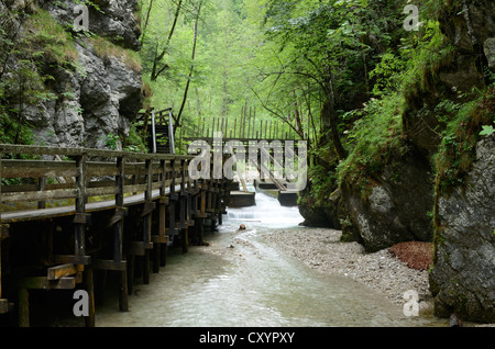 La ligne flottante bois traditionnelle dans la vallée de mendling, Basse Autriche, Autriche, Europe Banque D'Images