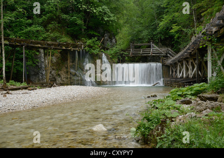 La ligne flottante bois traditionnelle dans la vallée de mendling, Basse Autriche, Autriche, Europe Banque D'Images