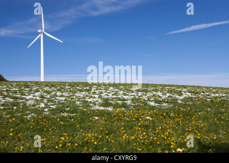 Éolienne sur le plateau à Mt Kandel, Forêt-Noire, Bade-Wurtemberg Banque D'Images
