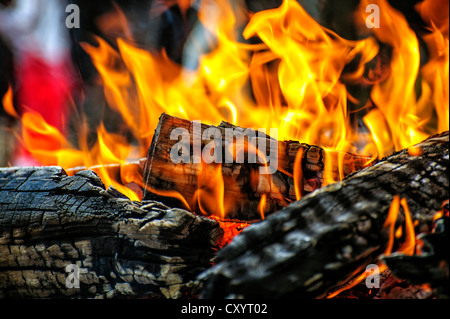 Le charbon de bois brûlant sur un barbecue Banque D'Images
