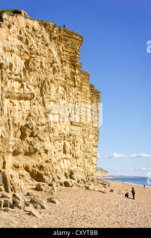 Les falaises de la côte jurassique à West Bay, Bridport, Dorset, UK Banque D'Images