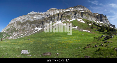 Vue vers le massif de l'Alpstein avec Schwegalp Saentis de montagne, Suisse, Europe Banque D'Images