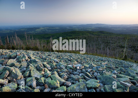 L'humeur du soir du sommet du Lusen Mountain dans la forêt bavaroise, Bavaria, PublicGround Banque D'Images