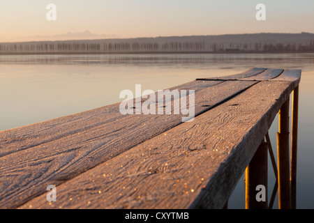 Jetée avec la gelée blanche dans la lumière du matin, l'aube, sur le lac de Constance près de Hegne, Bade-Wurtemberg Banque D'Images