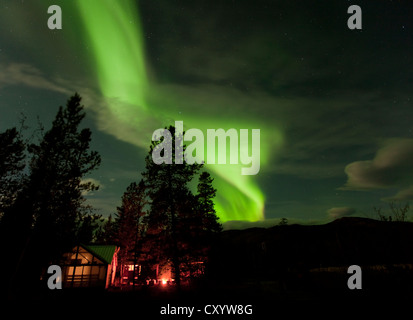 Allumé Allumé, wall tente, cabine avec lumières polaires du nord tourbillonnante, Aurora Borealis, vert, près de Whitehorse, Territoire du Yukon Banque D'Images