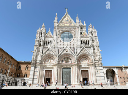 La Cathédrale de Sienne, Santa Maria Assunta Cathedral, Siena, Toscane, Italie, Europe Banque D'Images