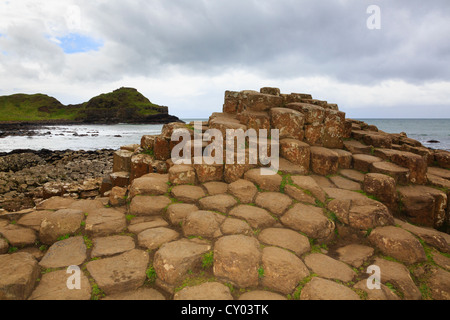 La pierre de lave basaltique polygonale colonnes de la Giant's Causeway, sur la côte nord du comté d'Antrim, Irlande du Nord, Royaume-Uni Banque D'Images