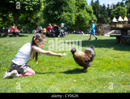 Fillette de trois ans l'alimentation d'un poulet dans un pré, Wildpark Poing Wildlife park, Bavaria Banque D'Images