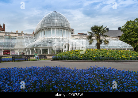 Jardins botaniques, Belfast, Irlande du Nord, Royaume-Uni, Europe Banque D'Images