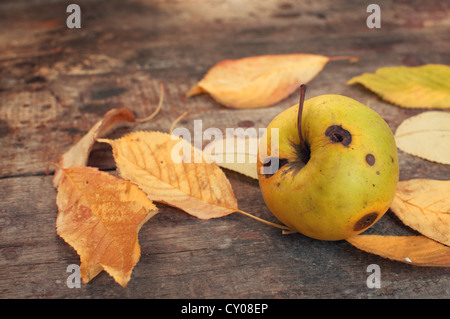 Les feuilles d'automne tombée sur la vieille table de bois et une pomme pourrie Banque D'Images