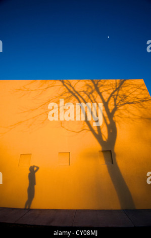 Arbre de l'ombre du soir et figure sur mur jaune avec ciel bleu Banque D'Images